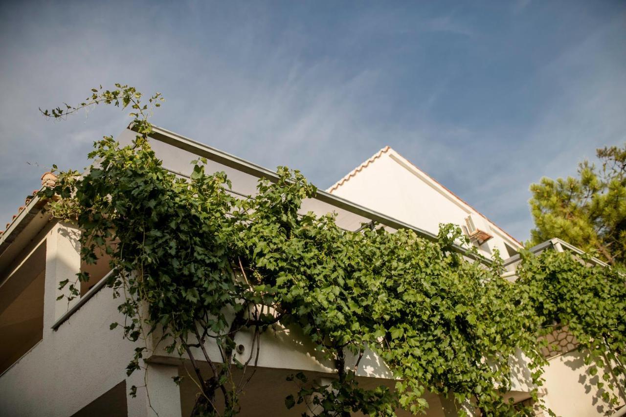 Guesthouse Šime Kolan Extérieur photo